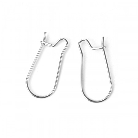 Picture of Stainless Steel Ear Wire Hooks Earring Findings Silver Tone 25mm(1") x 11mm( 3/8"), Post/ Wire Size: (21 gauge), 50 PCs