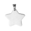 Immagine di 304 Acciaio Inossidabile Ciondoli Stella a Cinque Punte Tono Argento 37mm x 31mm, 1 Pz