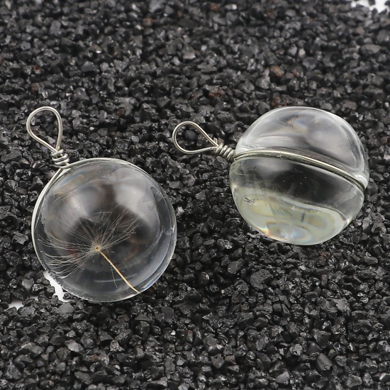 Picture of Transparent Glass Globe Bubble Bottle Charms Dandelion Dried Flower 29mm(1 1/8") x 19mm( 6/8"), 2 PCs