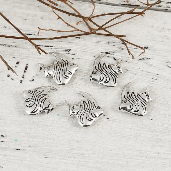 Picture of Zinc Based Alloy 3D Beads Fish Animal Antique Silver Color 21mm x 20mm, Hole: Approx 1.8mm, 30 PCs