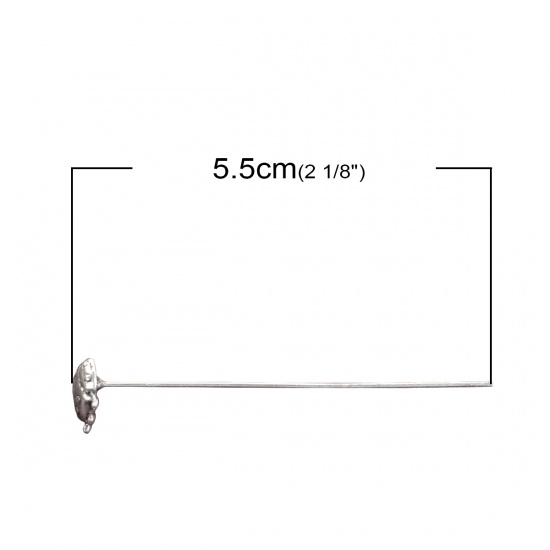 Immagine di Lega di Zinco Testa di Spillo Spilli Argento Antico lunghezza: Scarabeo 5.5cm 0.7mm (21 misura) , 20 Pz