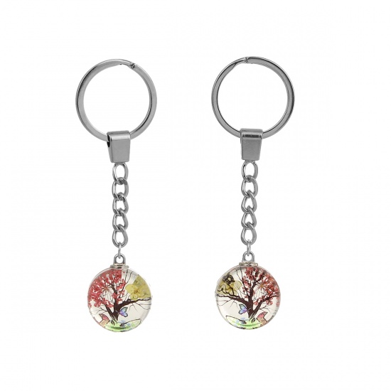 Bild von Getrocknete Blumen Transparent Glaskugel Flasche Schlüsselkette & Schlüsselring Baum Silberfarbe Rot Zufällig Mix 9.8cm, 1 Stück