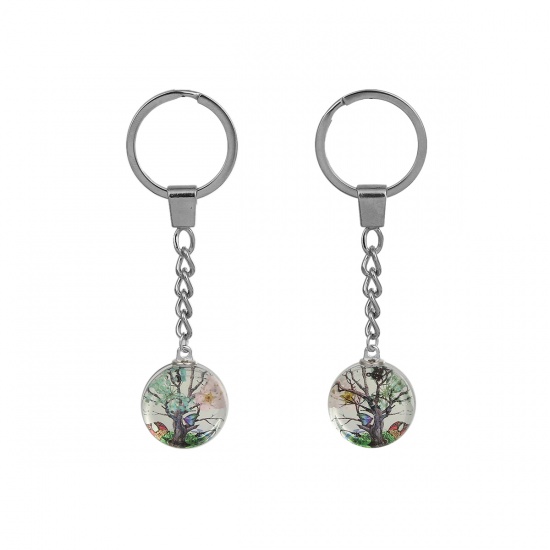 Bild von Getrocknete Blumen Transparent Glaskugel Flasche Schlüsselkette & Schlüsselring Baum Silberfarbe Mintgrün Zufällig Mix 9.8cm, 1 Stück