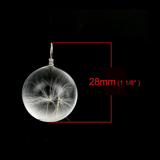Picture of Real Dried Flower Transparent Glass Globe Bubble Bottle Charms Dandelion White 28mm(1 1/8") x 20mm( 6/8"), 2 PCs