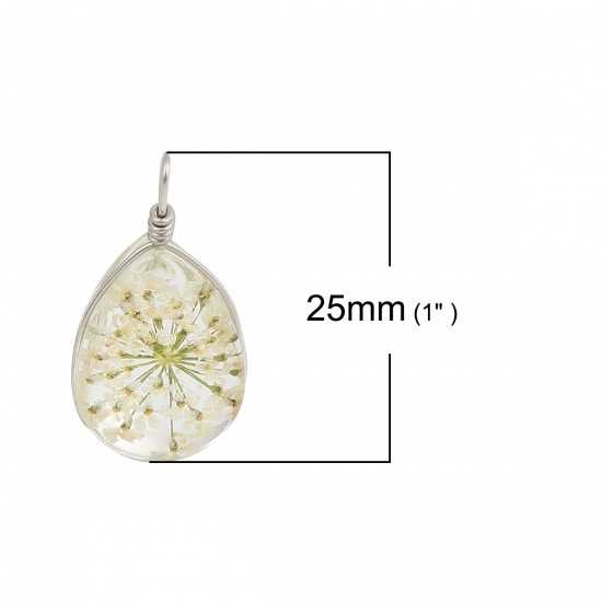 Picture of Real Dried Flower Transparent Glass Globe Bubble Bottle Charms Drop White 25mm(1") x 13mm( 4/8"), 2 PCs