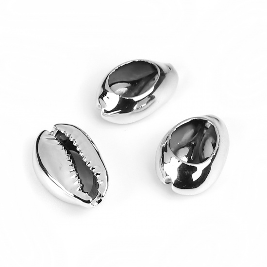 Picture of Natural Shell Charms Cowrie Monetaria Caputserpentis Silver Color Plated 23mm x15mm( 7/8" x 5/8") - 18mm x11mm( 6/8" x 3/8"), 5 PCs