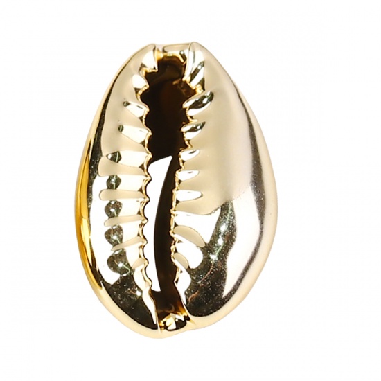 Picture of Natural Shell Charms Cowrie Monetaria Caputserpentis Golden Color Plated 23mm x15mm( 7/8" x 5/8") - 18mm x11mm( 6/8" x 3/8"), 5 PCs
