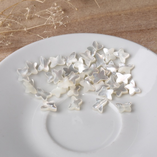 Image de Perles en Coquille Papillon Blanc 9mm x 6mm, Taille de Trou: 0.4mm, 2 Pcs