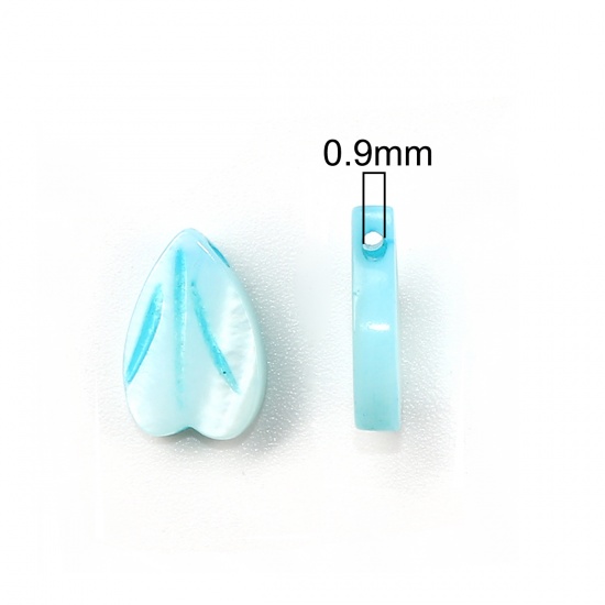 Immagine di Conchiglia Sciolto Perline Petalo Blu Lunghezza: 12mm x9mm - 11mm x8mm, Foro:Circa 0.9mm, 5 Pz