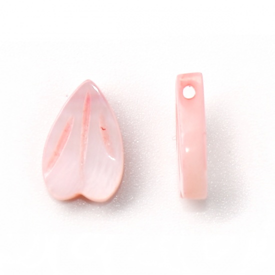 Immagine di Conchiglia Sciolto Perline Petalo Rosa Lunghezza: 12mm x9mm - 11mm x8mm, Foro:Circa 0.9mm, 5 Pz