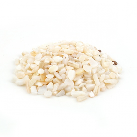 Image de Perles (Pas de trou) en Coquille Irrégulier Blanc 10mm x 6mm - 4mm x 3mm, 500 Grammes