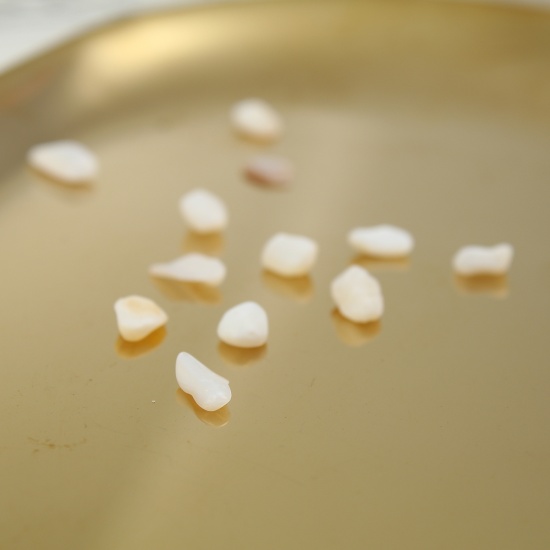 Image de Perles (Pas de trou) en Coquille Irrégulier Blanc 10mm x 6mm - 4mm x 3mm, 500 Grammes