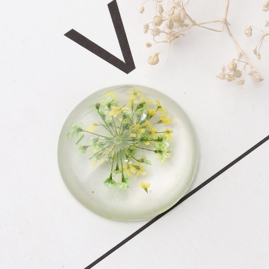 Image de Cabochon Dôme en Résine Rond Vert & Jaune Fleur Séchée Transparent 25mm Dia, 10 Pcs