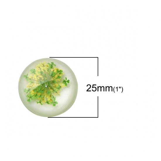 Image de Cabochon Dôme en Résine Rond Vert & Jaune Fleur Séchée Transparent 25mm Dia, 10 Pcs