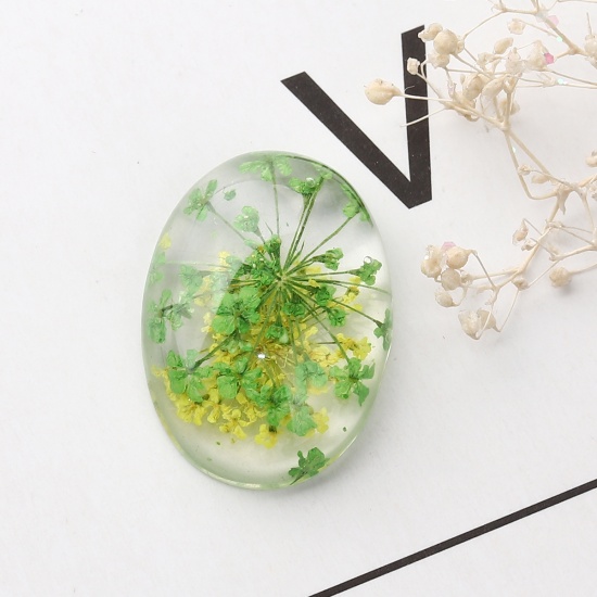 Picture of Resin Dome Seals Cabochon Oval Green & Yellow Dried Flower Pattern Transparent 25mm(1") x 18mm( 6/8"), 10 PCs
