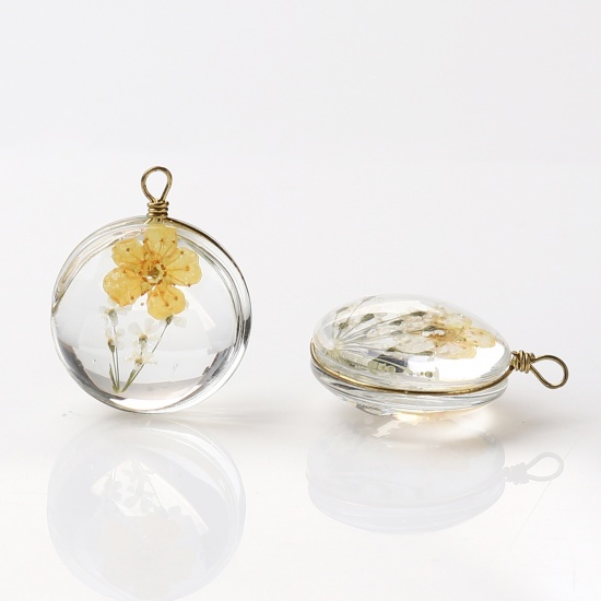 Bild von Kupfer + Glas Charms Rund Getrocknete Blumen Orange Transparent 23mm x 18mm, 2 Stück