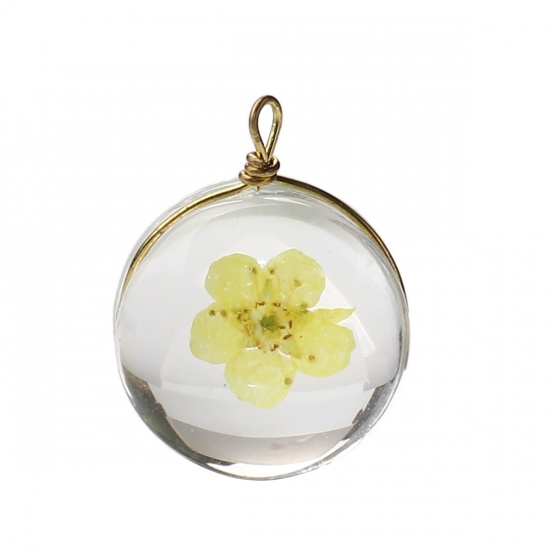 Bild von Kupfer + Glas Charms Rund Getrocknete Blumen Gelb Transparent 19mm x 14mm, 2 Stück