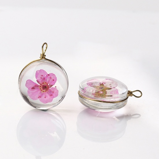 Изображение Медь+Стекло Подвески Круглые Сухие цветы Ярко-розовый Прозрачный 19мм x 14мм, 2 ШТ