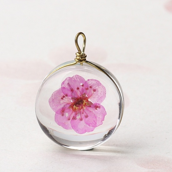 Изображение Медь+Стекло Подвески Круглые Сухие цветы Ярко-розовый Прозрачный 19мм x 14мм, 2 ШТ