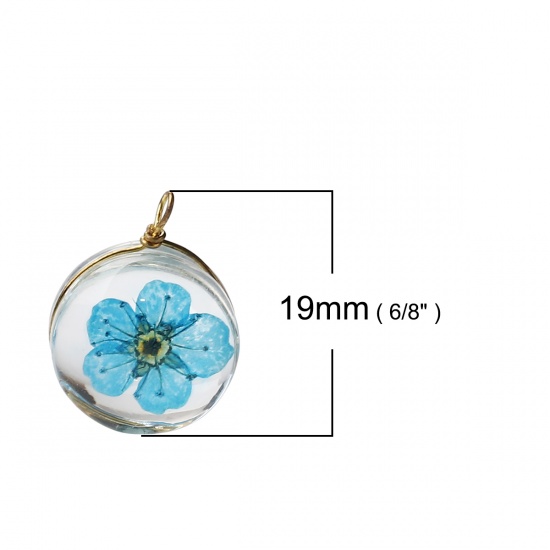 Picture of Copper & Glass Charms Round Dried Flower Lake Blue Transparent 19mm x 14mm, 2 PCs