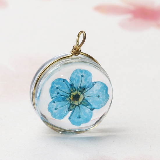 Bild von Kupfer + Glas Charms Rund Getrocknete Blumen Azurblau Transparent 19mm x 14mm, 2 Stück