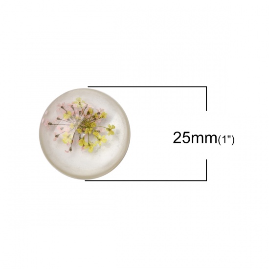 Image de Cabochon Dôme en Résine Rond Jaune Fleur Séchée Transparent 25mm Dia, 10 Pcs