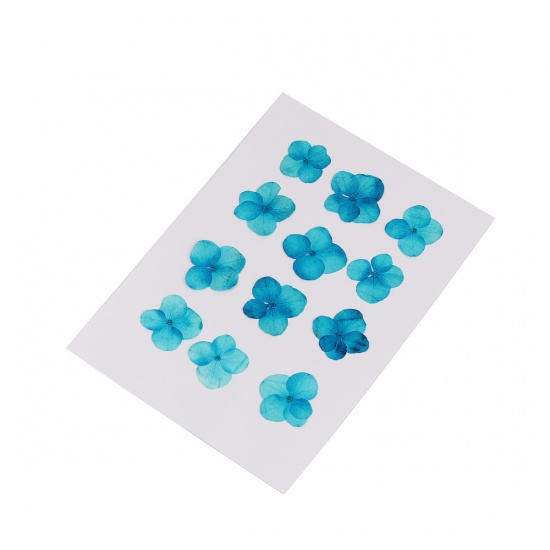 Picture of Real Dried Flower Resin Jewelry DIY Making Craft Hydrangea Lake Blue 30mm x30mm(1 1/8" x1 1/8") - 17mm x17mm( 5/8" x 5/8"), 1 Packet ( 12 PCs/Packet)