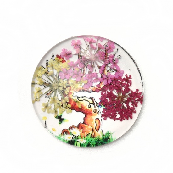 Image de Cabochon Dôme en Verre & Fleurs Séchées Rond Dos Plat Multicolore Arbres Transparent 30mm Dia, 3 Pcs