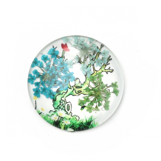 Picture of Glass & Dried Flower Dome Seals Cabochon Round Flatback Multicolor Tree Pattern Transparent 30mm(1 1/8") Dia, 3 PCs