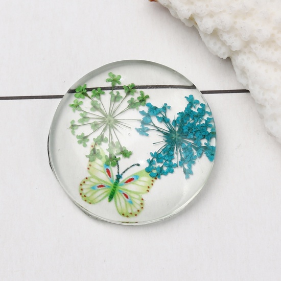 Picture of Glass & Dried Flower Dome Seals Cabochon Round Flatback Green Butterfly Pattern Transparent 30mm(1 1/8") Dia, 3 PCs