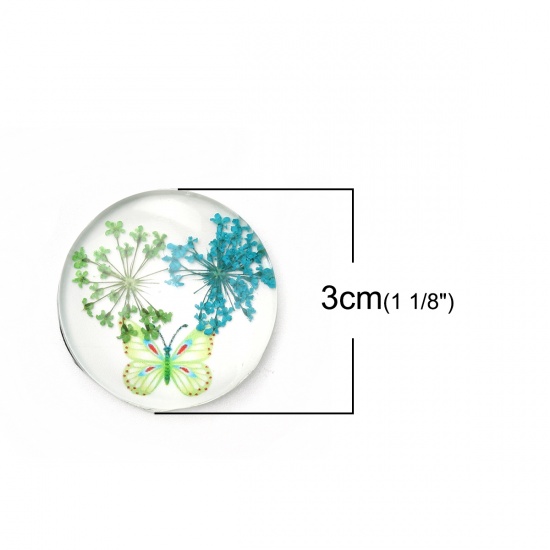 Picture of Glass & Dried Flower Dome Seals Cabochon Round Flatback Green Butterfly Pattern Transparent 30mm(1 1/8") Dia, 3 PCs