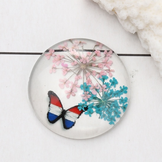 Picture of Glass & Dried Flower Dome Seals Cabochon Round Flatback Multicolor Butterfly Pattern Transparent 30mm(1 1/8") Dia, 3 PCs