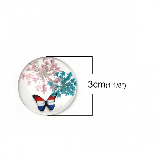 Picture of Glass & Dried Flower Dome Seals Cabochon Round Flatback Multicolor Butterfly Pattern Transparent 30mm(1 1/8") Dia, 3 PCs