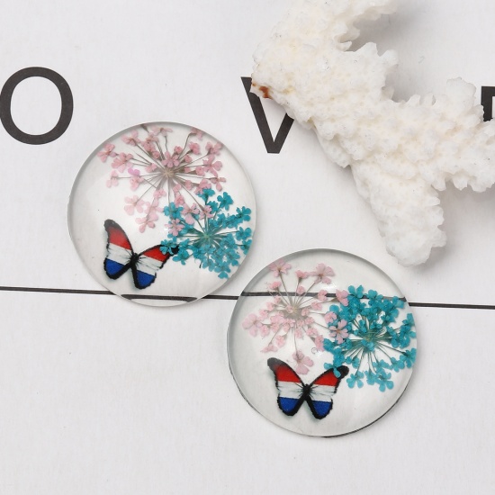 Picture of Glass & Dried Flower Dome Seals Cabochon Round Flatback Multicolor Butterfly Pattern Transparent 30mm(1 1/8") Dia, 3 PCs