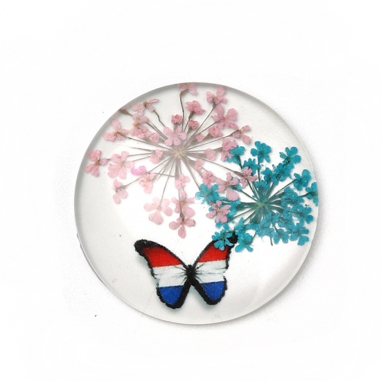 Picture of Glass & Dried Flower Dome Seals Cabochon Round Flatback Multicolor Butterfly Pattern Transparent 30mm(1 1/8") Dia, 3 PCs