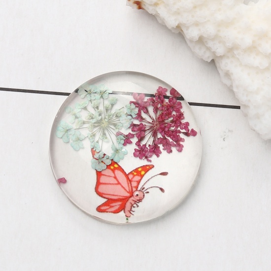 Picture of Glass & Dried Flower Dome Seals Cabochon Round Flatback Multicolor Butterfly Pattern Transparent 30mm(1 1/8") Dia, 3 PCs
