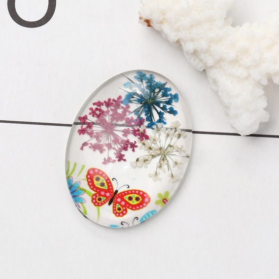 Picture of Glass & Dried Flower Dome Seals Cabochon Oval Flatback Multicolor Butterfly Pattern Transparent 40mm(1 5/8") x 30mm(1 1/8"), 3 PCs