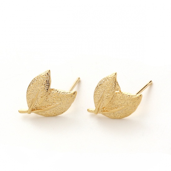 Image de Boucles d'Oreilles Puces en Laiton Plaqué Or Véritable Feuille Amas Stellaire 15mm x 11mm, Epaisseur de Fil: (20 gauge), 4 Pcs