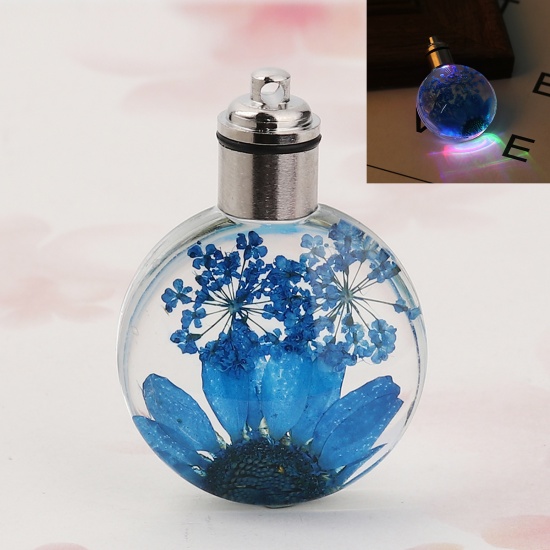 Picture of Glass & Dried Flower Pendants Round Chrysanthemum Flower Peacock Blue Transparent LED Light Up 43mm(1 6/8") x 30mm(1 1/8"), 2 PCs