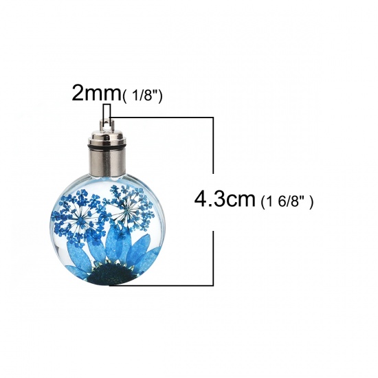 Picture of Glass & Dried Flower Pendants Round Chrysanthemum Flower Peacock Blue Transparent LED Light Up 43mm(1 6/8") x 30mm(1 1/8"), 2 PCs