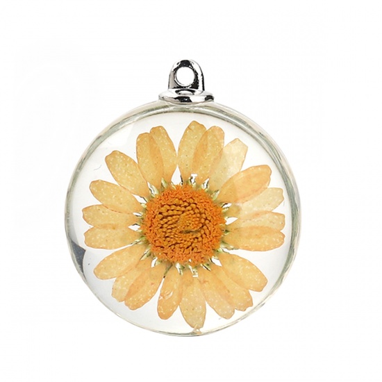 Picture of Glass & Dried Flower Pendants Round Chrysanthemum Flower Orange Transparent 35mm(1 3/8") x 30mm(1 1/8"), 2 PCs