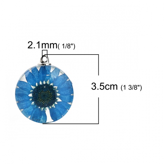 Picture of Glass & Dried Flower Pendants Round Chrysanthemum Flower Peacock Blue Transparent 35mm(1 3/8") x 30mm(1 1/8"), 2 PCs