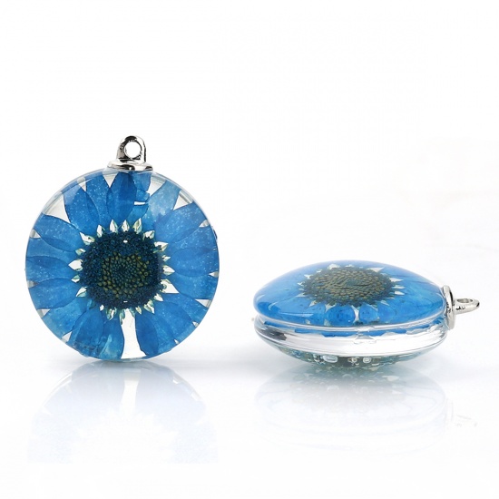 Picture of Glass & Dried Flower Pendants Round Chrysanthemum Flower Peacock Blue Transparent 35mm(1 3/8") x 30mm(1 1/8"), 2 PCs