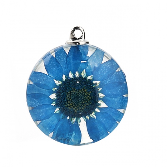 Picture of Glass & Dried Flower Pendants Round Chrysanthemum Flower Peacock Blue Transparent 35mm(1 3/8") x 30mm(1 1/8"), 2 PCs