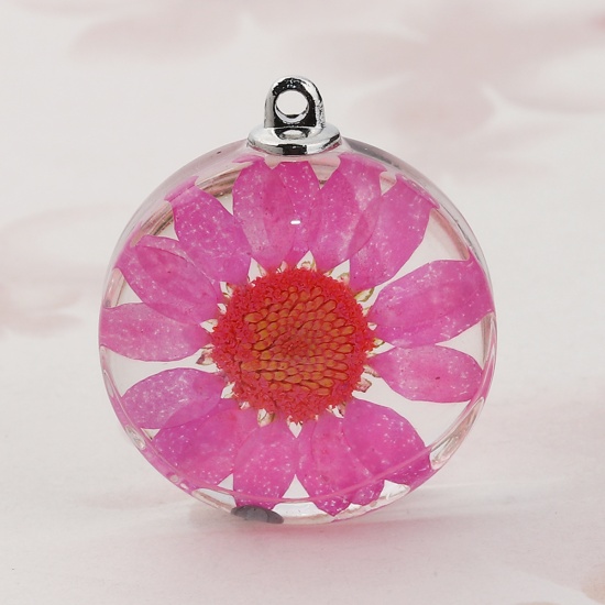 Picture of Glass & Dried Flower Pendants Round Chrysanthemum Flower Hot Pink Transparent 35mm(1 3/8") x 30mm(1 1/8"), 2 PCs