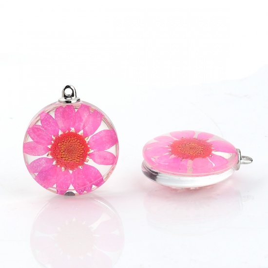 Picture of Glass & Dried Flower Pendants Round Chrysanthemum Flower Hot Pink Transparent 35mm(1 3/8") x 30mm(1 1/8"), 2 PCs