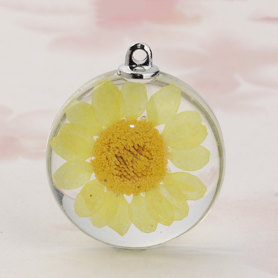 Picture of Glass & Dried Flower Pendants Round Chrysanthemum Flower Yellow Transparent 35mm(1 3/8") x 30mm(1 1/8"), 2 PCs