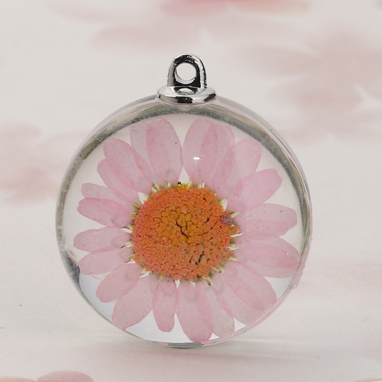 Glass & Dried Flower Pendants Round Chrysanthemum Flower Pink Transparent 35mm(1 3/8") x 30mm(1 1/8"), 2 PCs の画像