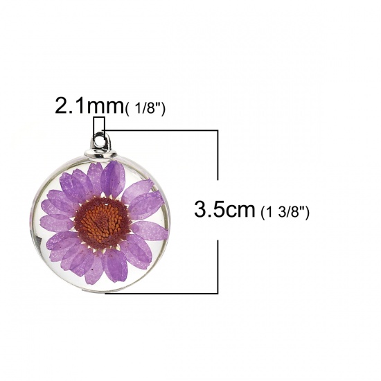 Picture of Glass & Dried Flower Pendants Round Chrysanthemum Flower Purple Transparent 35mm(1 3/8") x 30mm(1 1/8"), 2 PCs