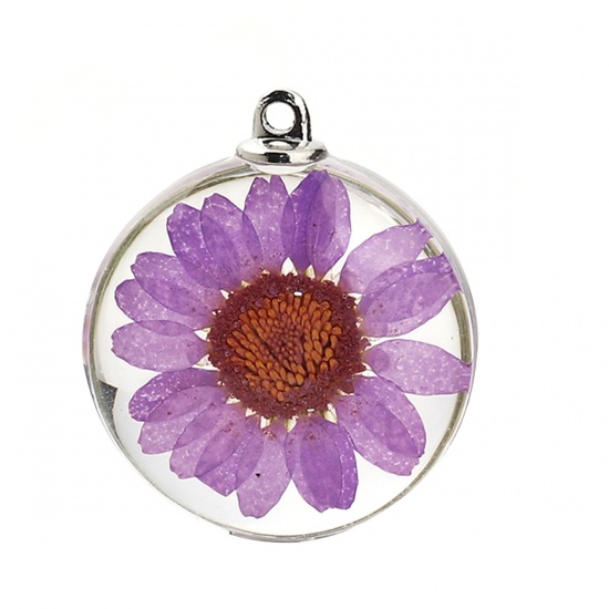 Picture of Glass & Dried Flower Pendants Round Chrysanthemum Flower Purple Transparent 35mm(1 3/8") x 30mm(1 1/8"), 2 PCs